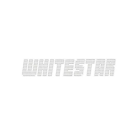 VW Bus T3 Folienschriftzug "WHITESTAR"