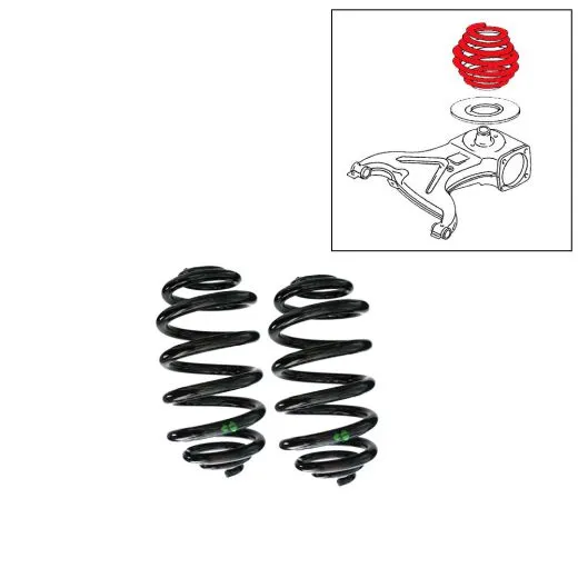 VW Bus T3 Syncro Hinterachsfedern - 2 Stück