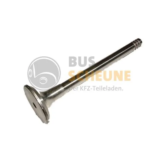 VW Bus T4 Auslassventil 2,5 TDI