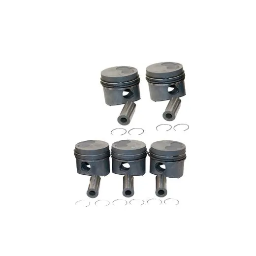 VW Bus T4 Diesel 5 Kolben 2,4 AAB komplett 1.Übermaß 80,01