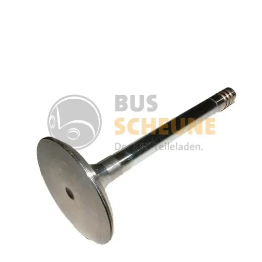 VW Bus T4 Einlassventil 2,5 TDI