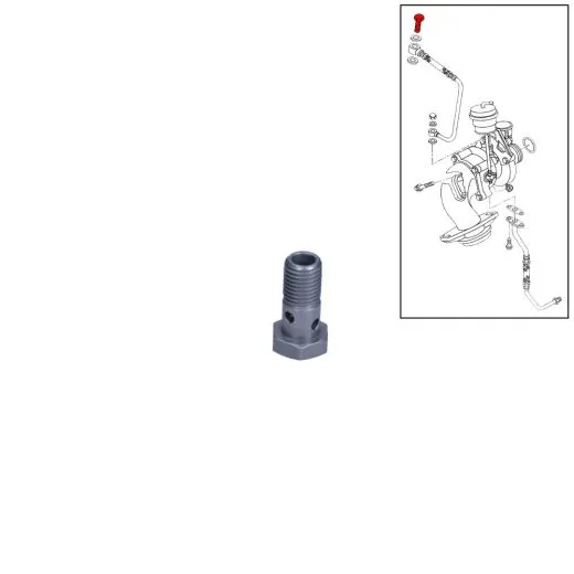 VW Bus T4 Hohlschraube für Ölrohr Turbolader 2.5 TDI ab Motornr.: 240722