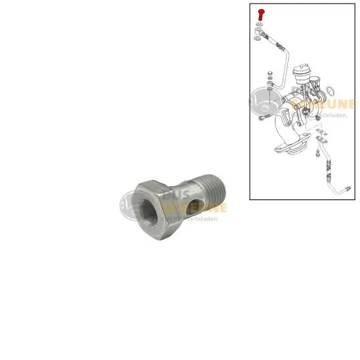 VW Bus T4 Hohlschraube für Ölrohr Turbolader 2.5 TDI bis Motornr.: 240721