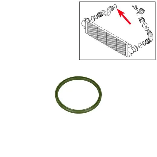 VW Bus T5 Dichtring für Ladeluftschlauch am Ladeluftkühler 53,95 mm
