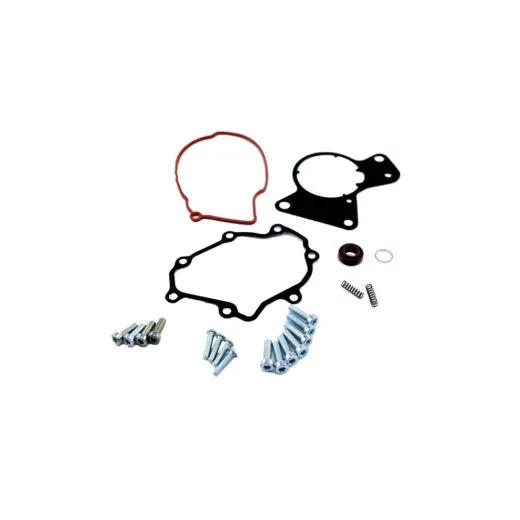 VW Bus T5 Dichtsatz für Kraftstoff- & Unterdruckpumpe 2,5 TDI