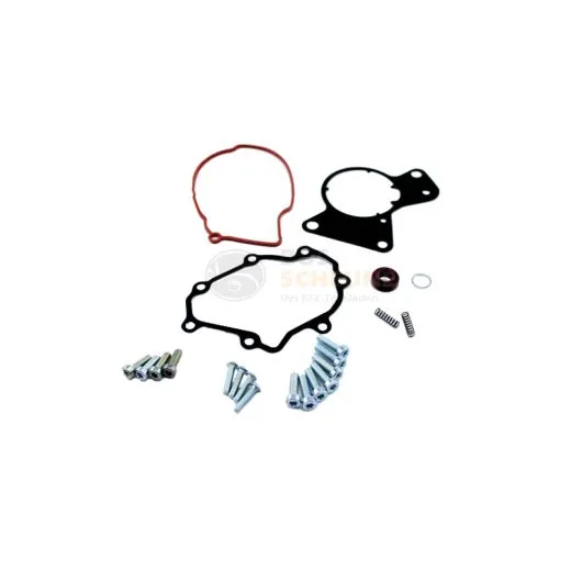 VW Bus T5 Dichtsatz für Kraftstoff- & Unterdruckpumpe 2,5 TDI