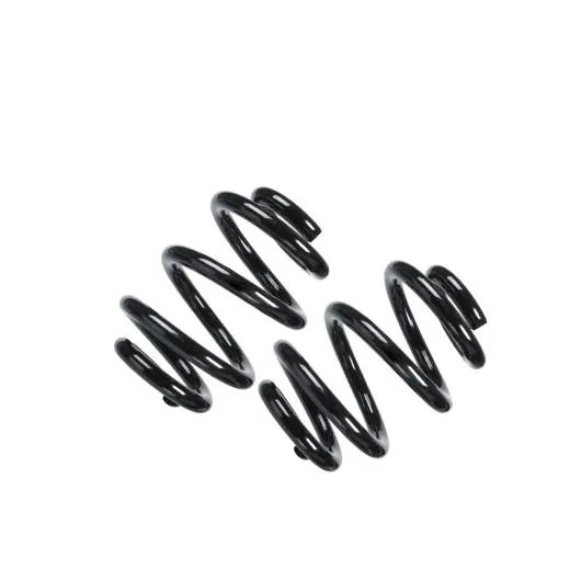 VW Bus T5 Hinterachsfedern / Fahrwerksfedern - 2 Stück