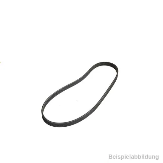 VW Bus T5 Keilrippenriemen 6DPK1195