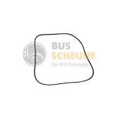 VW Golf 1 Jetta 1 - Türdichtung links oder rechts