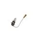 H3 Glühlampe, 12 V, 55 W, Sockelausf. PK22s