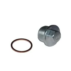 VW Bus T4 lablasschraube mit Kupferring 2,4 2,5 AAB ACV