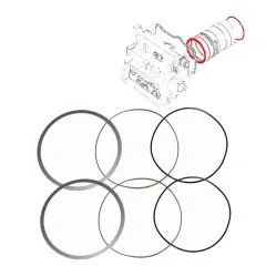 VW Bus T3 Dichtringe für Zylinderlaufbuchse alle WBX