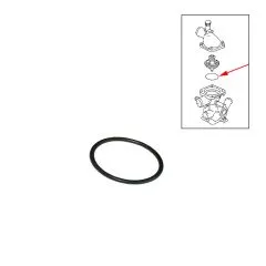 VW Bus T3 T4 Thermostatdichtring WBX