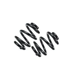 VW Bus T5 Hinterachsfedern / Fahrwerksfedern - 2 Stück